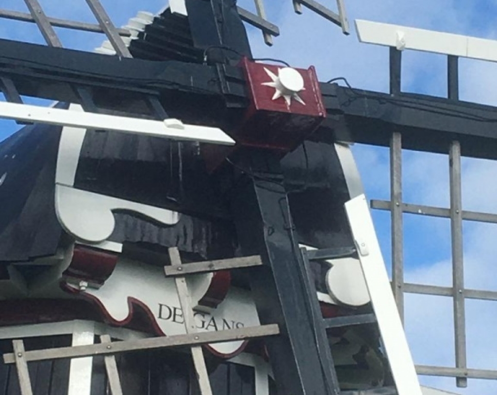 Banner voor nieuwsbericht Schilderwerk De Gans - Ezumazijl