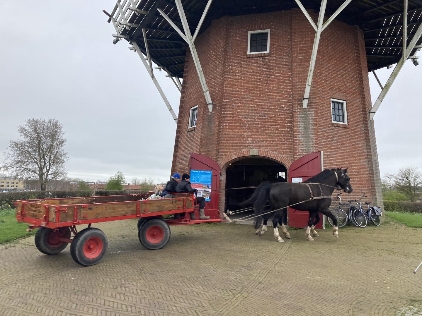 Banner voor nieuwsbericht Nieuw molenseizoen ouderwets geopend